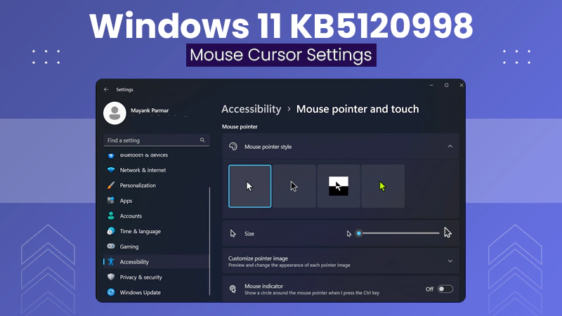 Windows 11 KB5120998 Update Messes With Mouse Cursor Settings